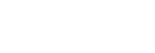 Cadence: Express and Explore